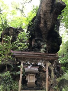 来宮神社