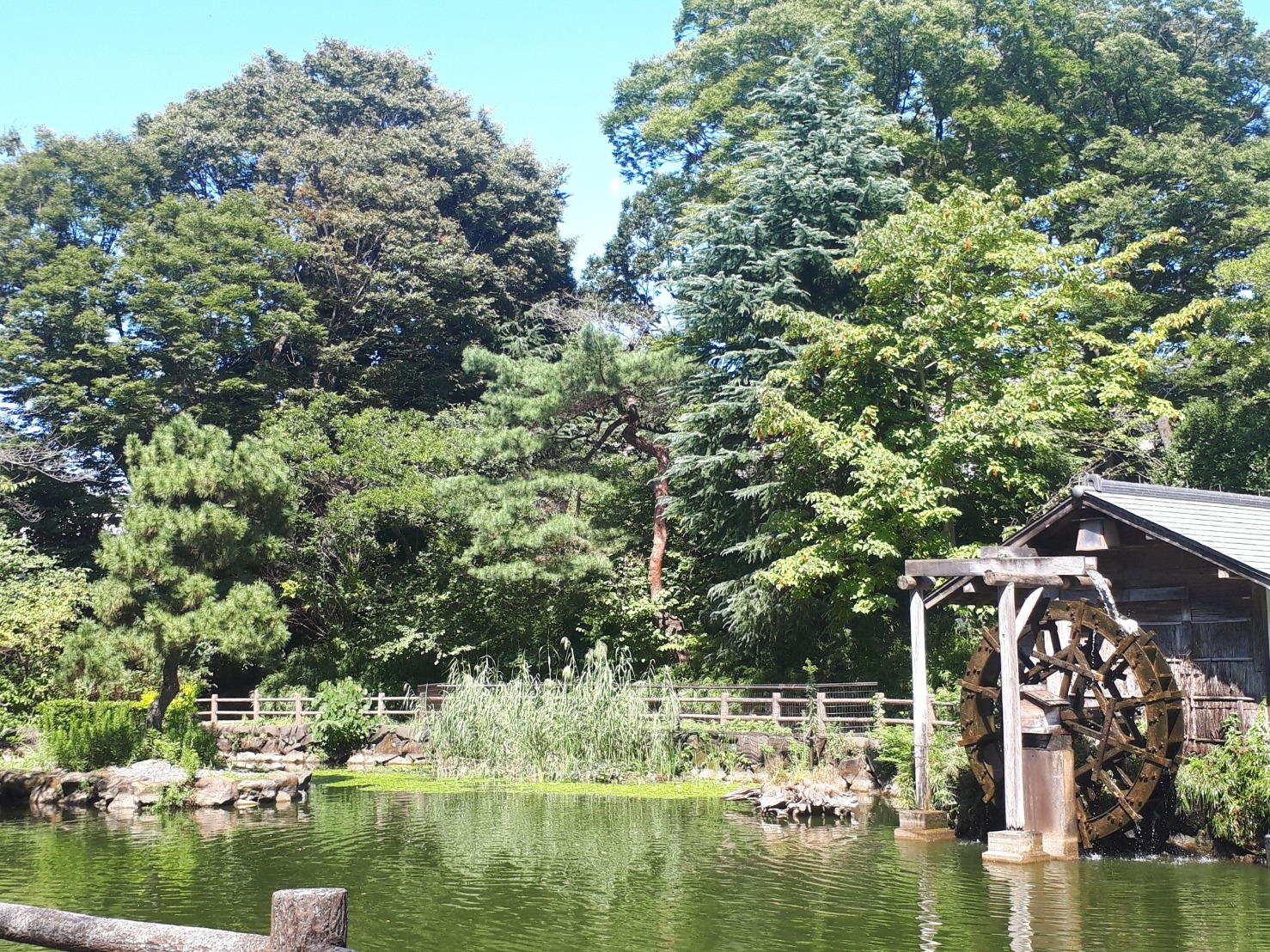 鍋島松濤公園をご紹介！【渋谷の歴史紹介第一弾】