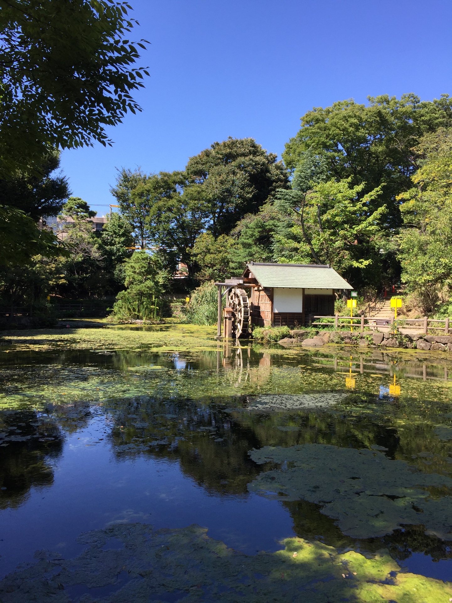 渋谷散策～松濤のオアシス　鍋島松濤公園～